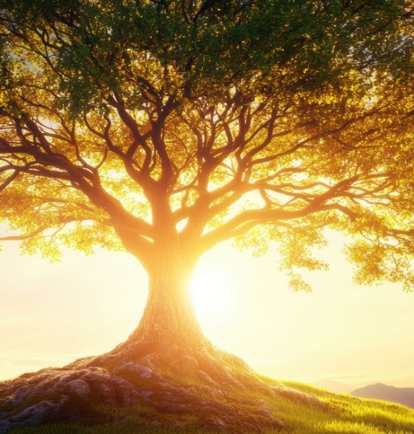 2026 Health Equity and Public Good Conference Banner